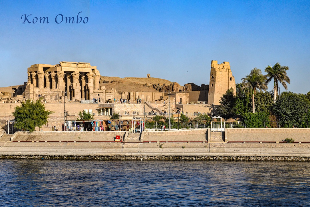 Day 10: Pet crocodiles