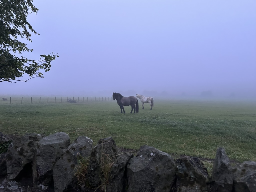 Day 20: Castles and a dinner out!