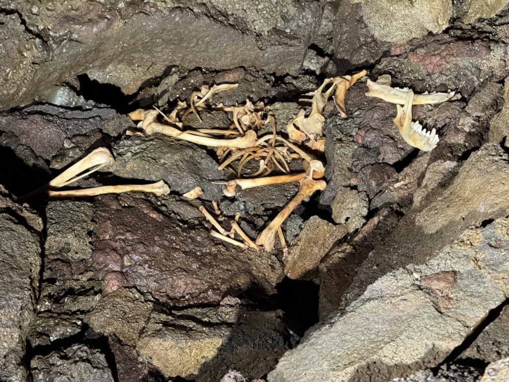 Day 5: A Journey to the Center of the Earth, no kidding!