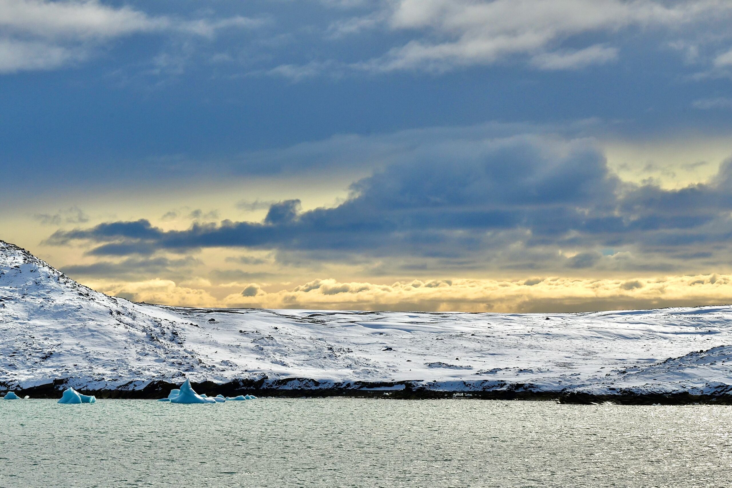 Day 9: The Real Thing, and an Unstuffed Bear!