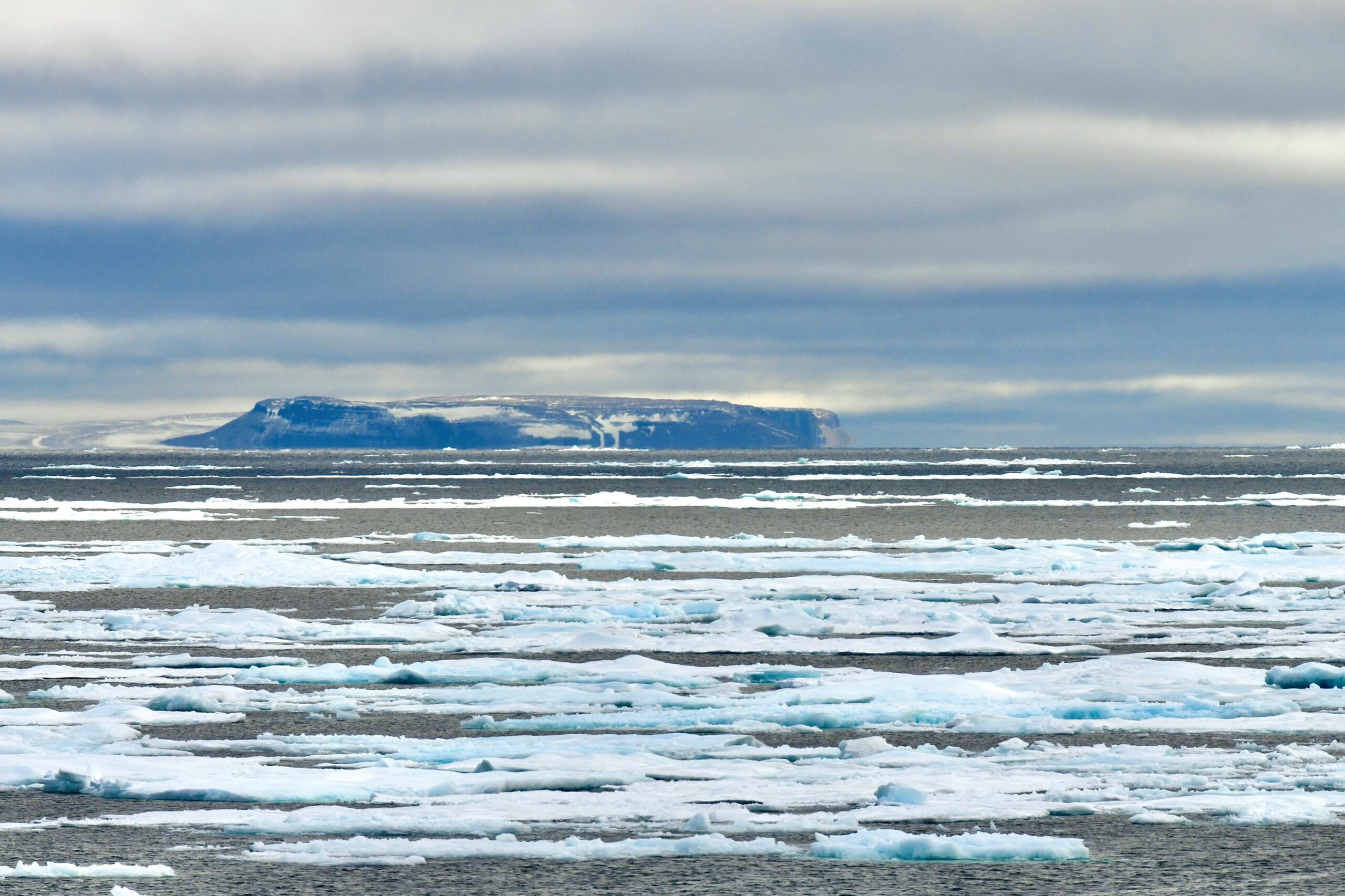 Day 11: Looking for Birds in Lancaster Sound  