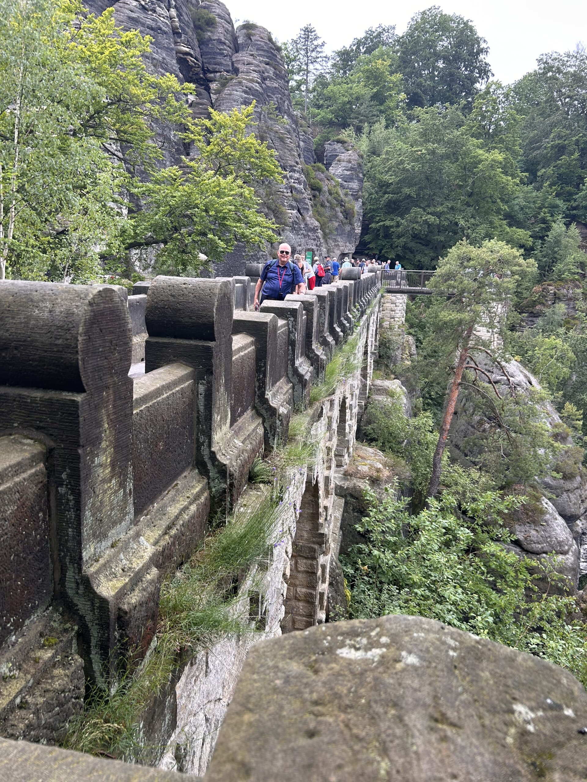 Day 16: View from the Bastei National Forest