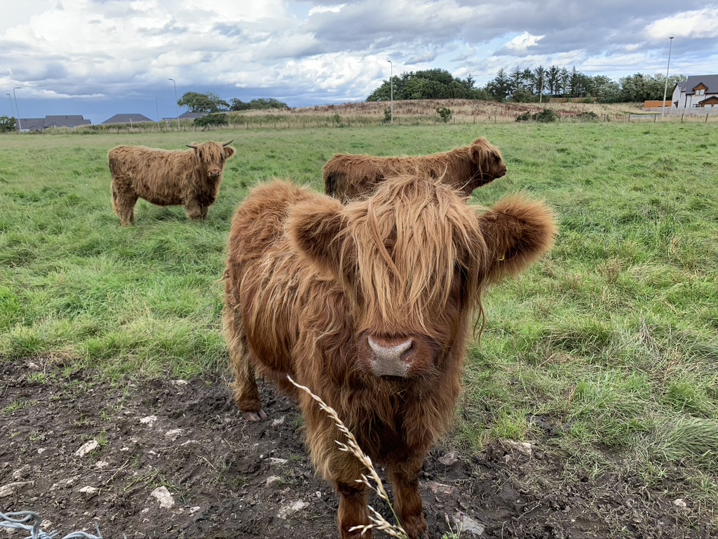 Day 11: Dundee and North, pt 1